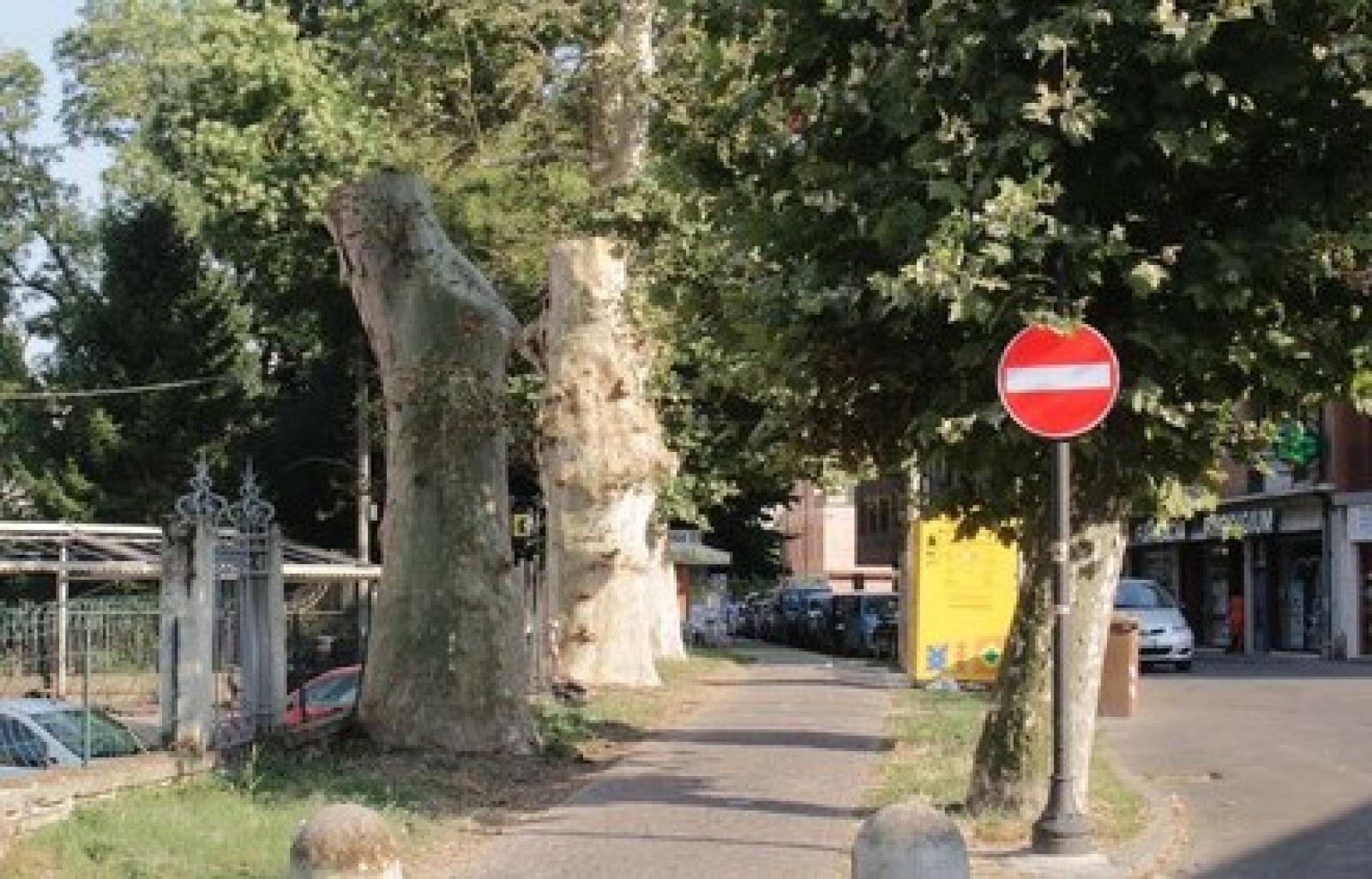 viale regina margherita.JPG