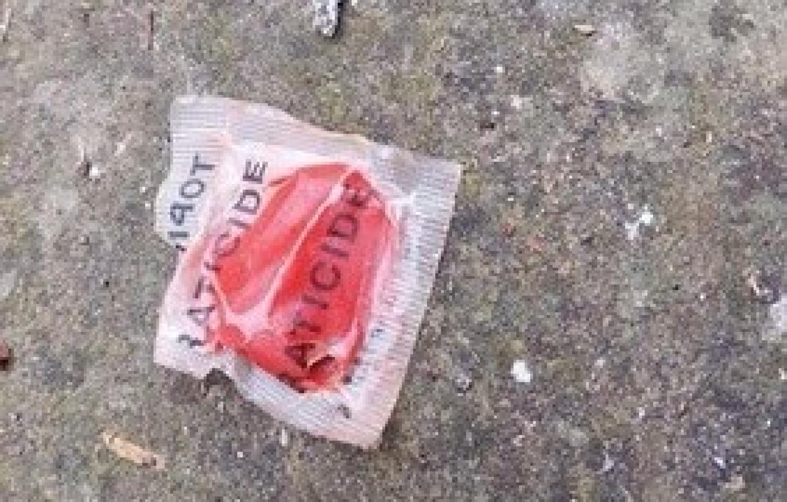 bocconi avvelenati cani.JPG