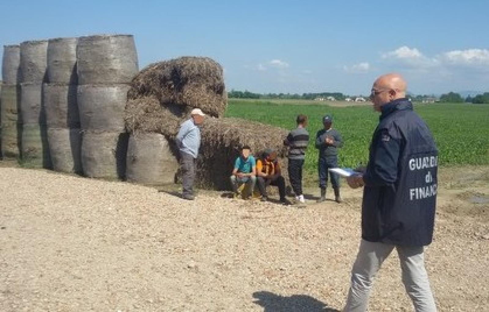 caporalato guardia di finanza concadirame (4).jpg