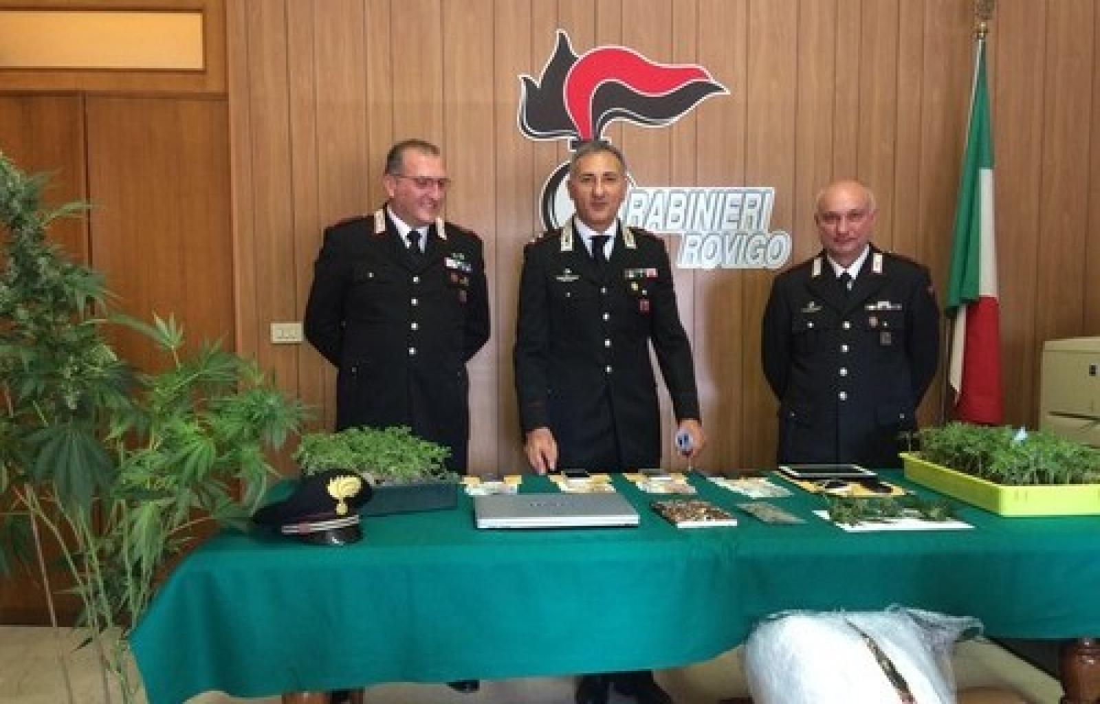 sequestro marijuana rovigo maggio 2016 (4).JPG