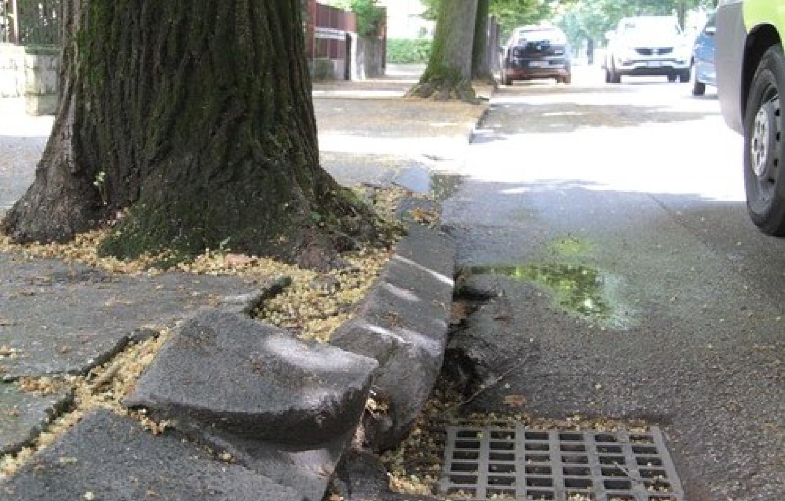 Viale Tisi da Garofolo 5.jpg