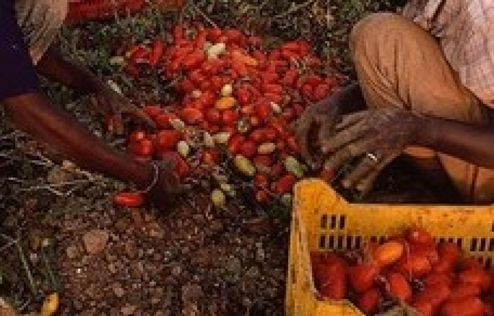 caporalato carabinieri.jpg