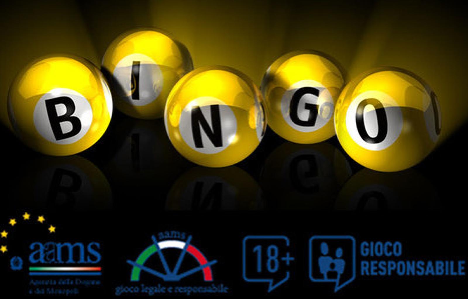 foto bingo online.jpg