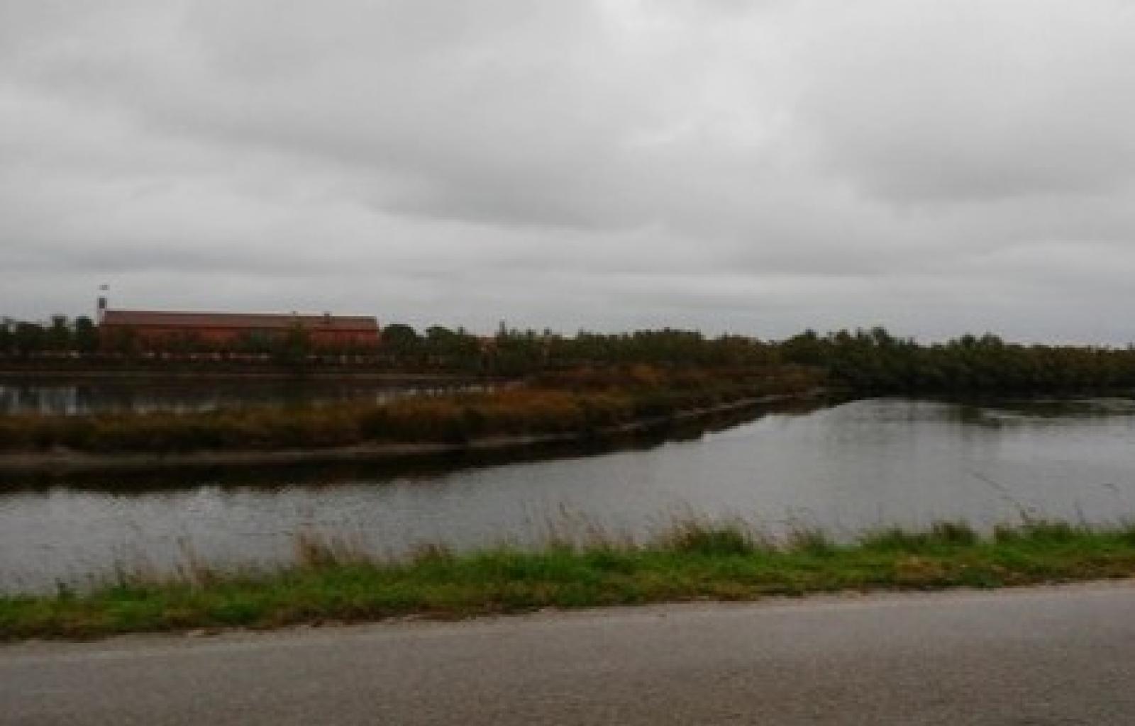 video laguna barbamarco bracconieri wwf rovigo.jpg