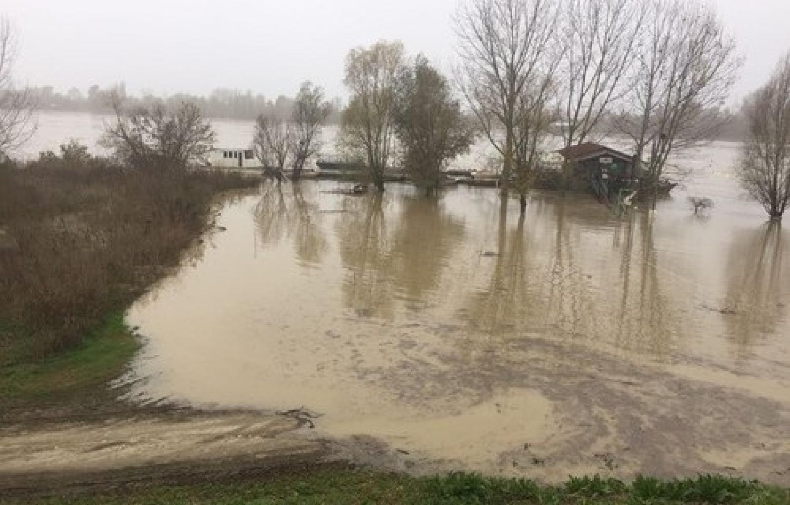 Golene Po allagate.JPG