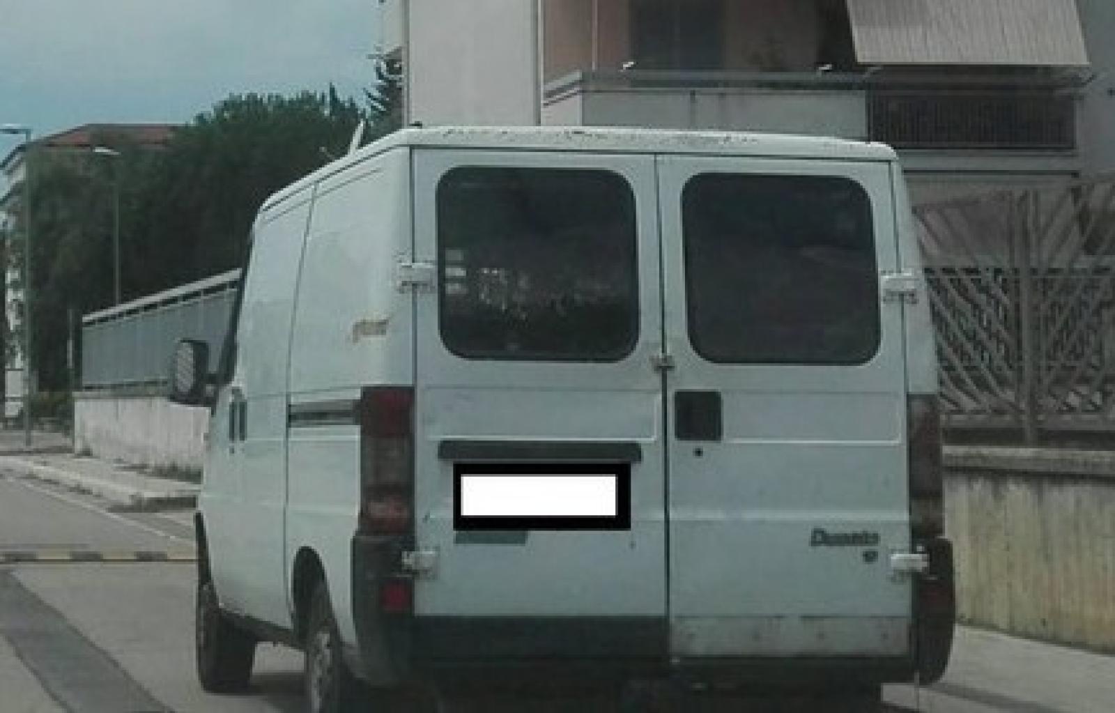 camion bianco.jpg