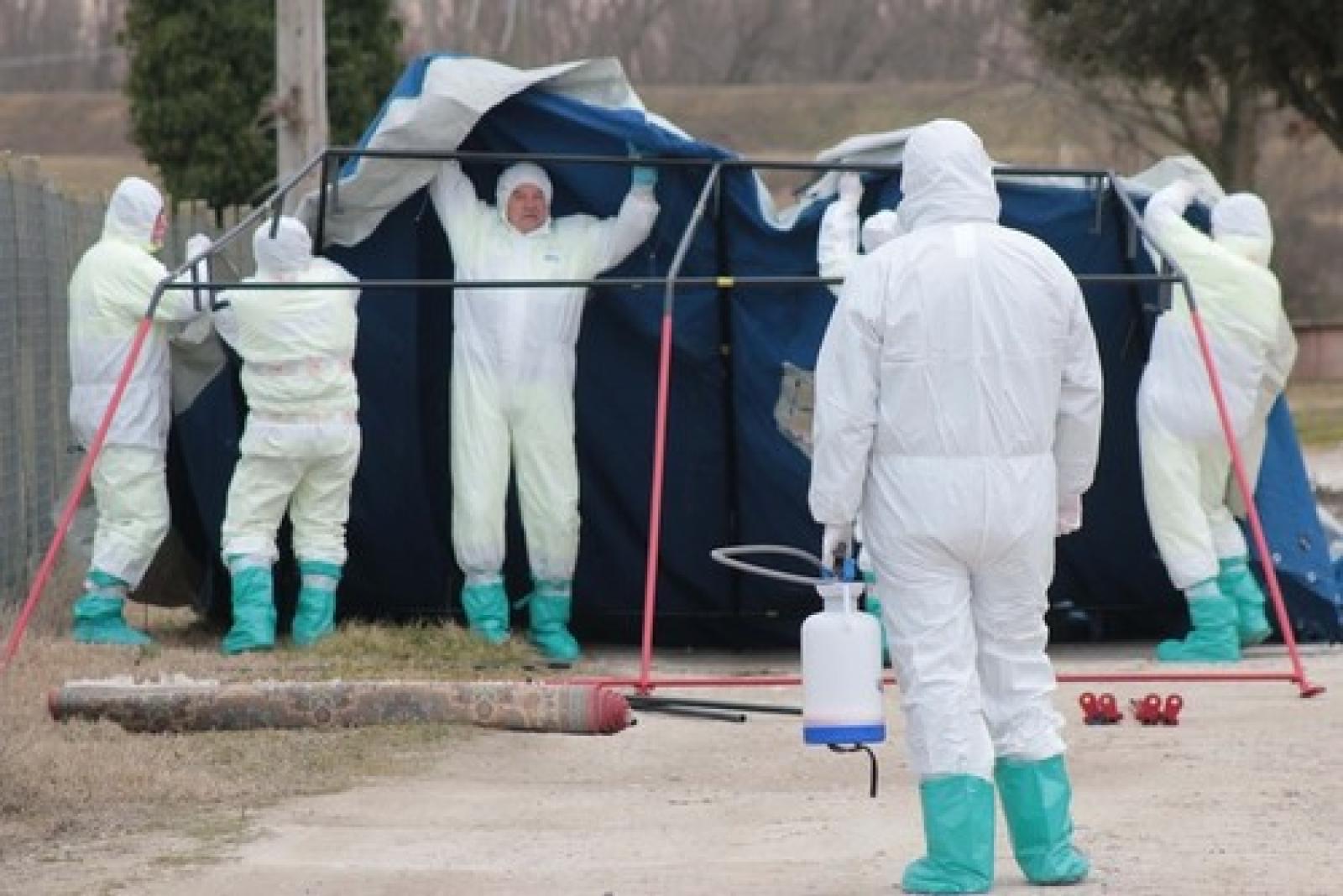 Azienda Agricola Belpo Via Cornera Porto Viro 15
