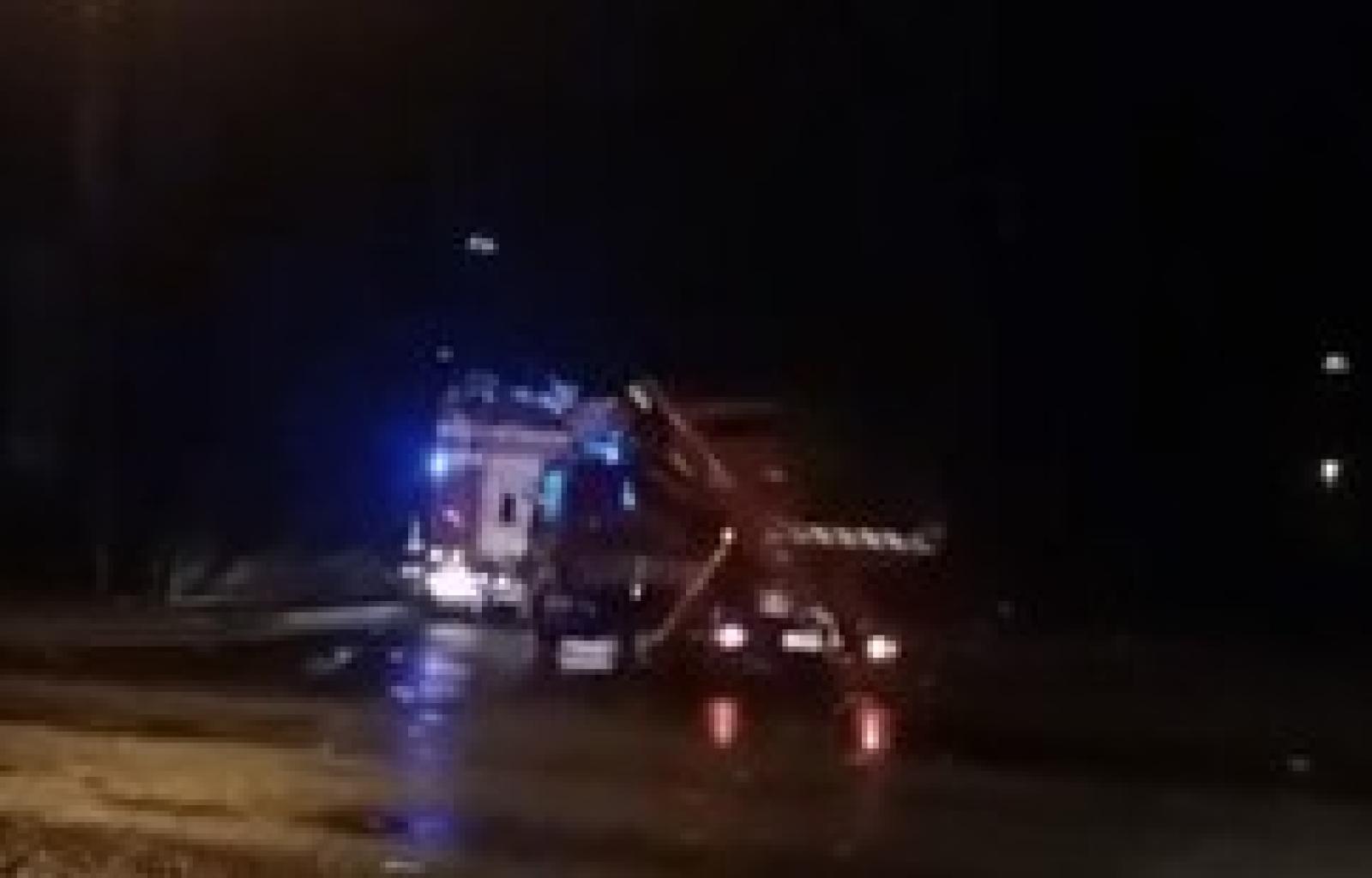 maltempo porto tolle albero.jpg