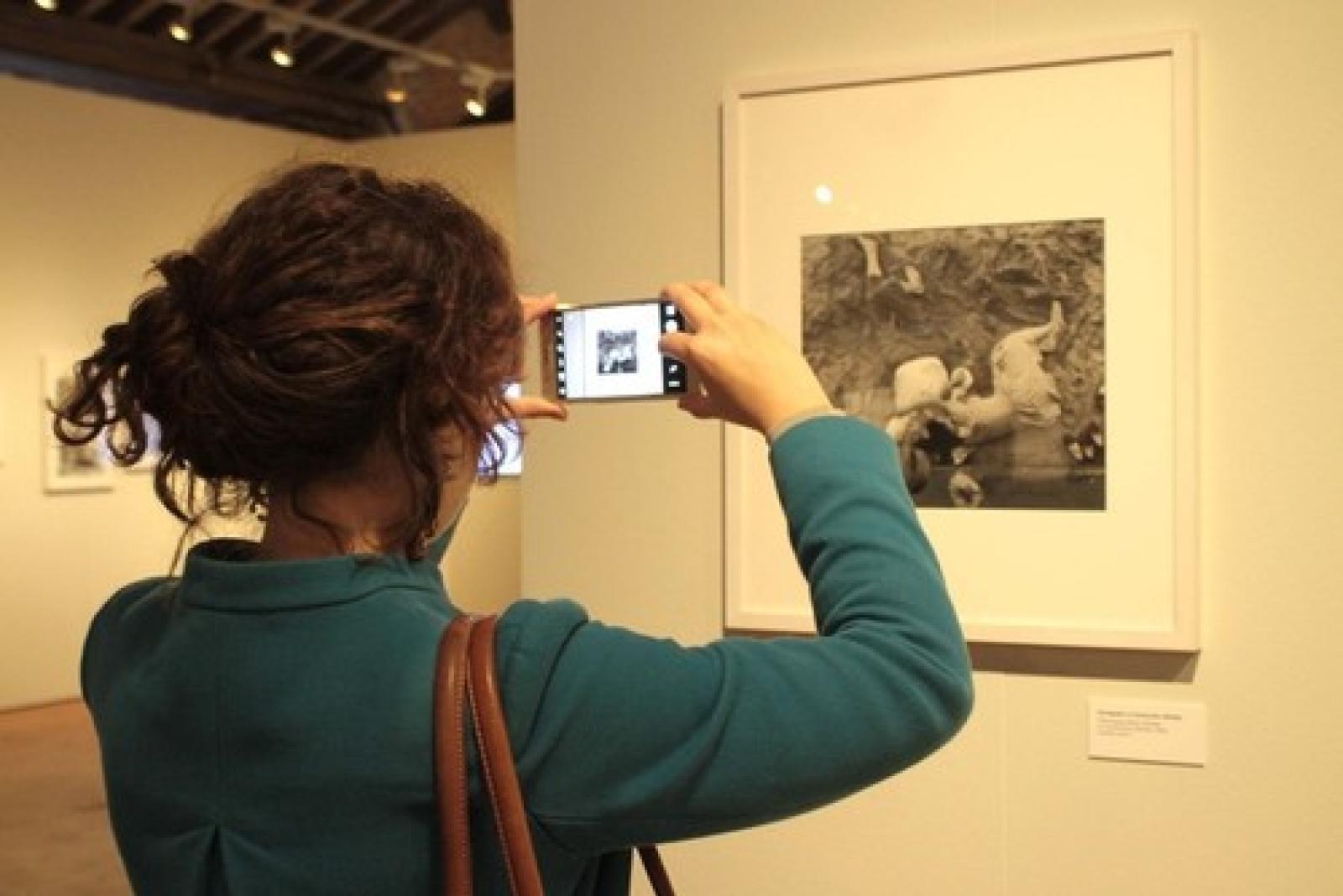 Pietro Donzelli Palazzo Roverella 8