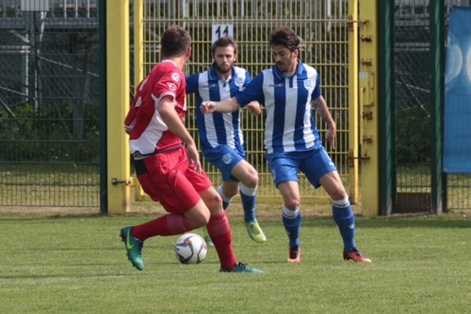 Delta Rovigo vs Virtus Castelfranco 8