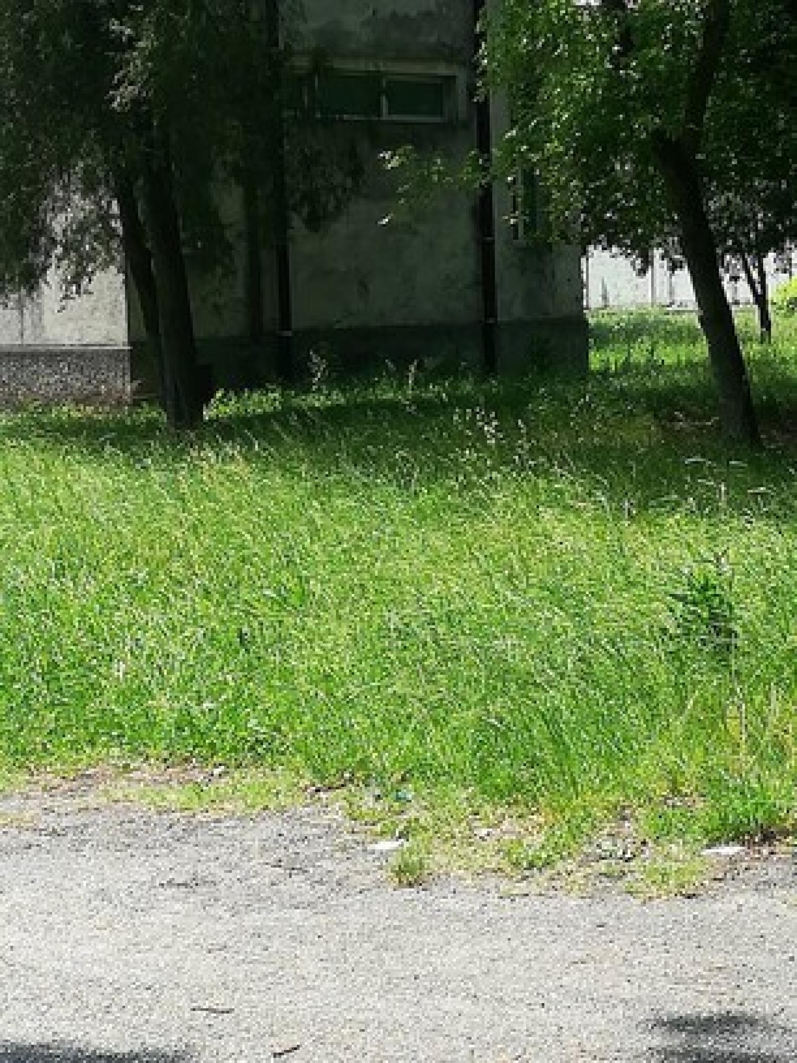 Lavori ai giardini pubblici restyling da 45mila euro