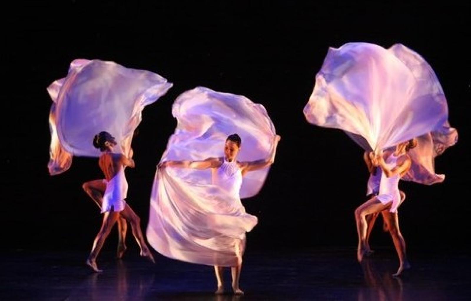 MOMIX 1.jpg