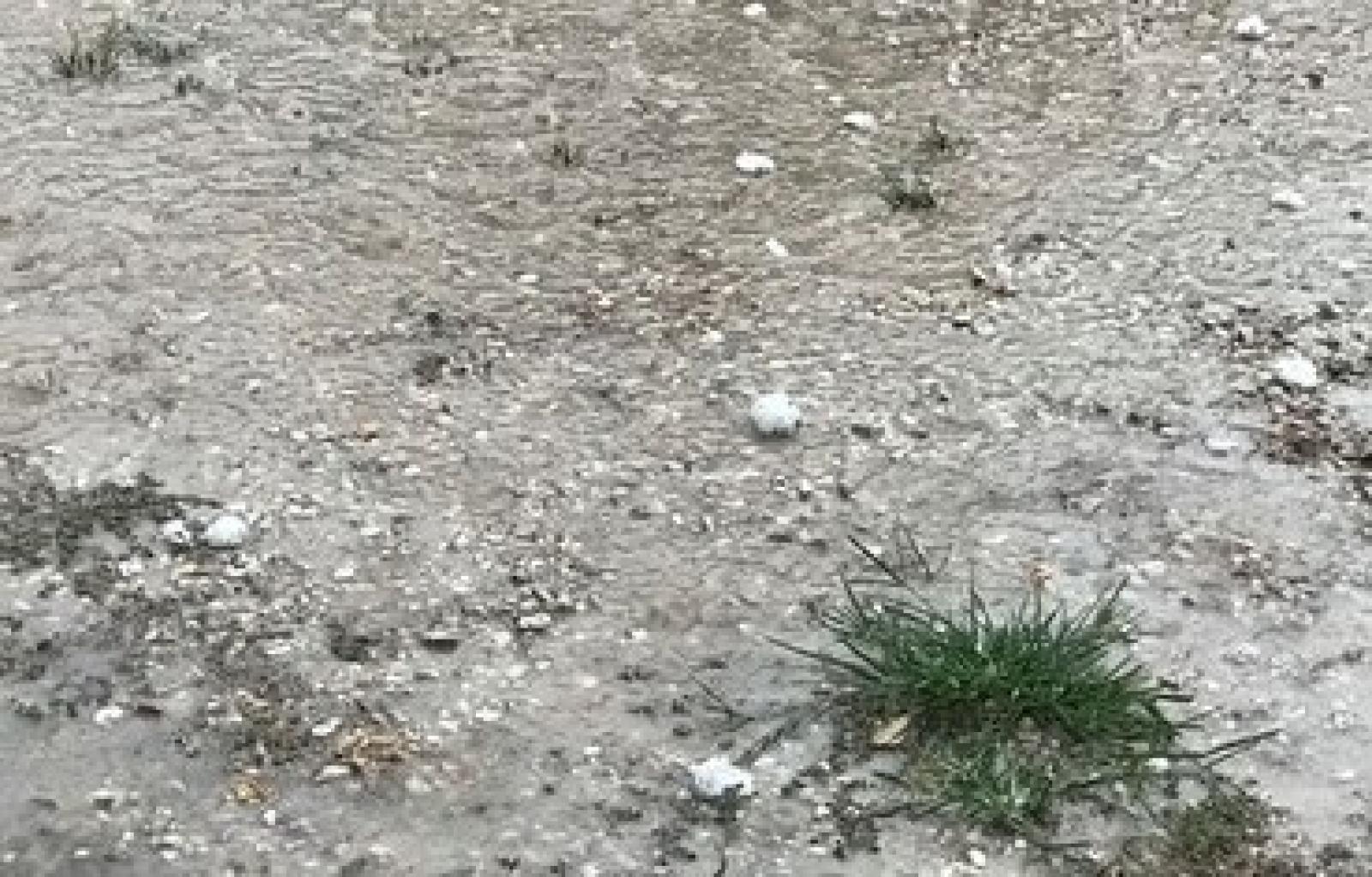 Grandinata Gavello (2)