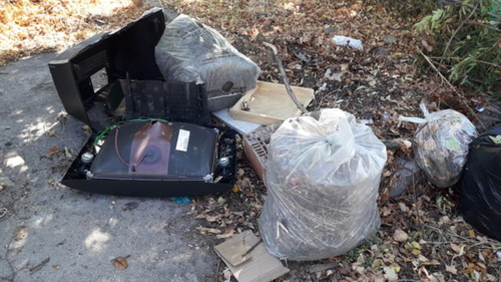 Rifiuti area ecologica Tassina (3)