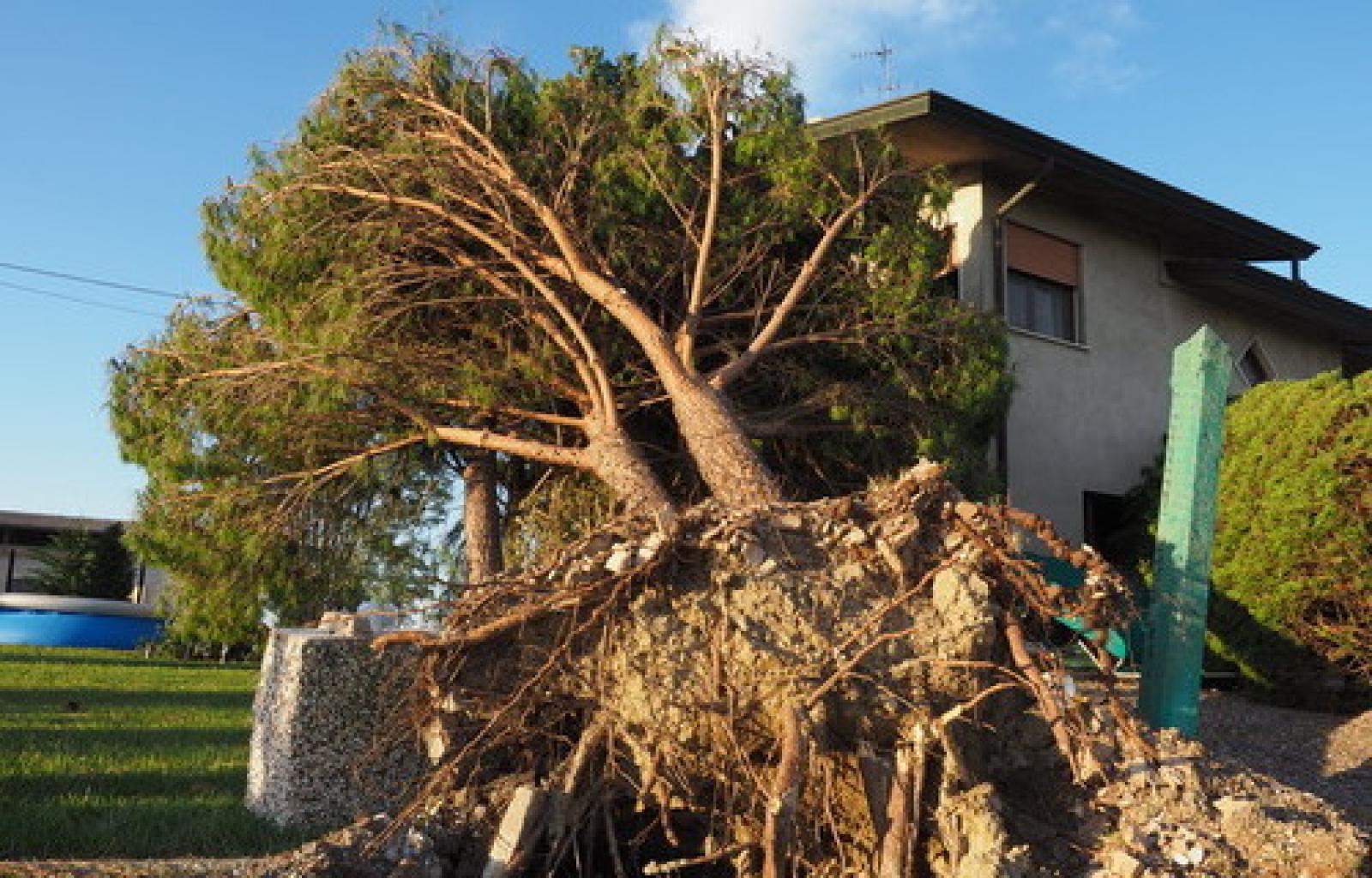 Maltempo Ivan Fonsato.JPG