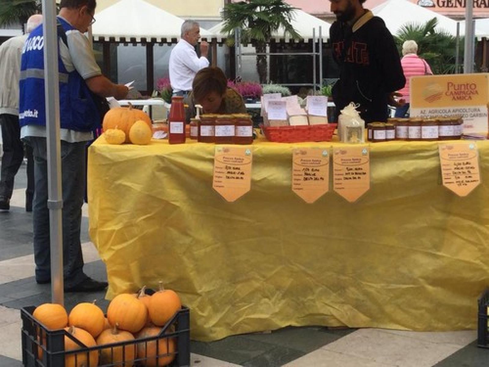 PRO LOCO Zucche in esposizione.jpg