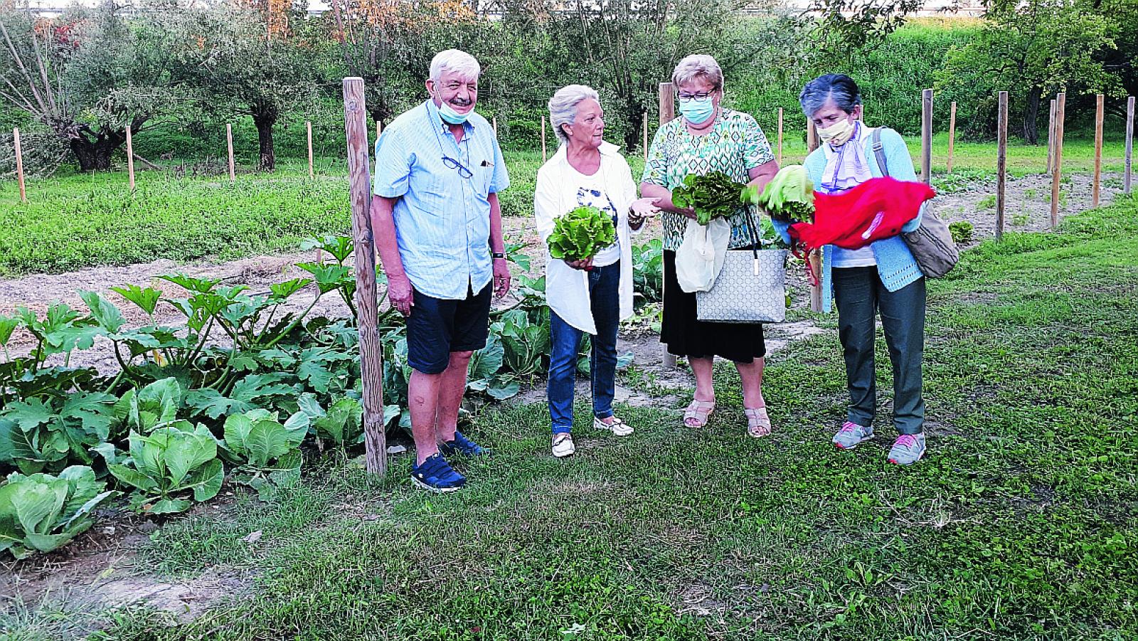 Un grande progetto per i nonni