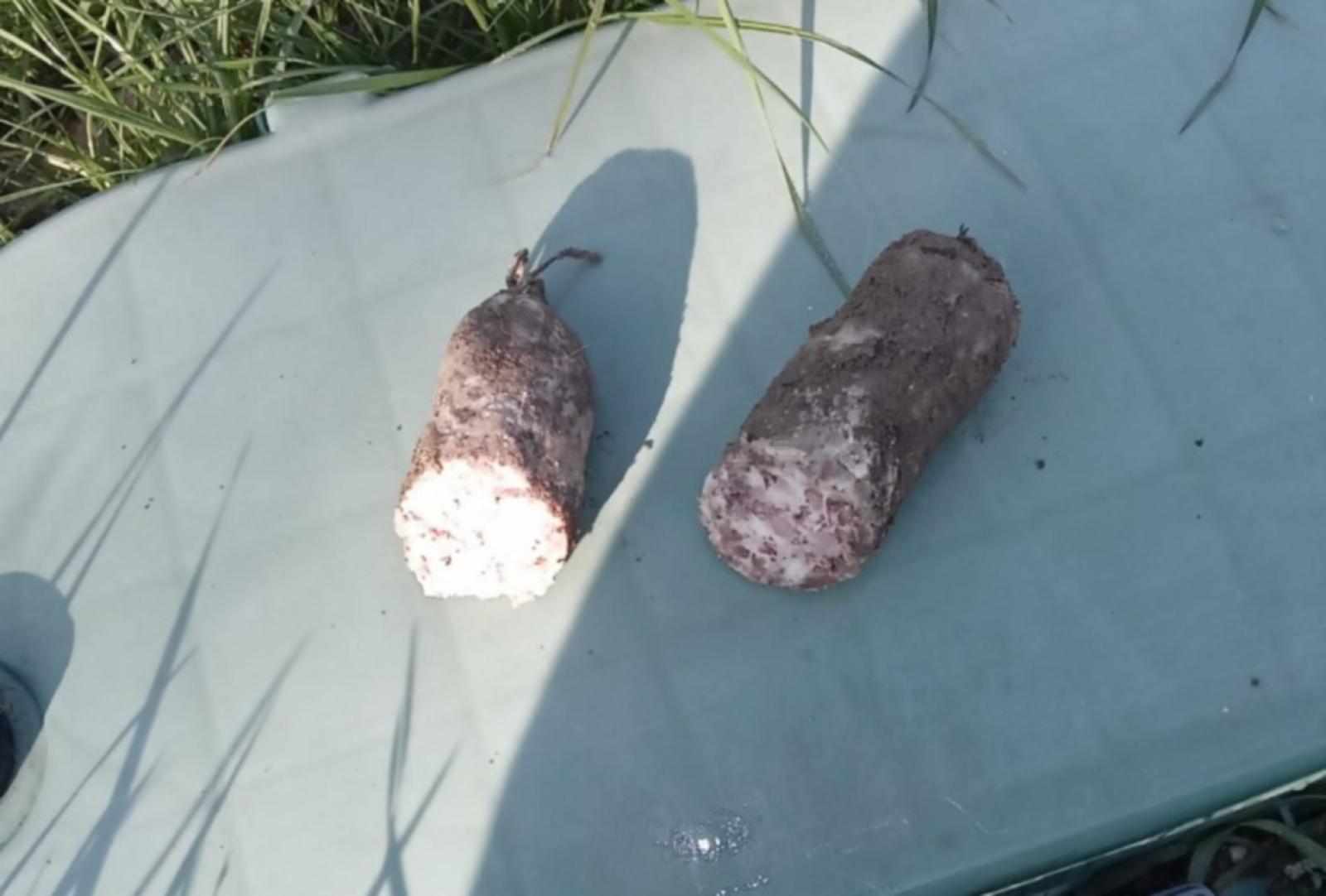 Boccone avvelenato in giardino