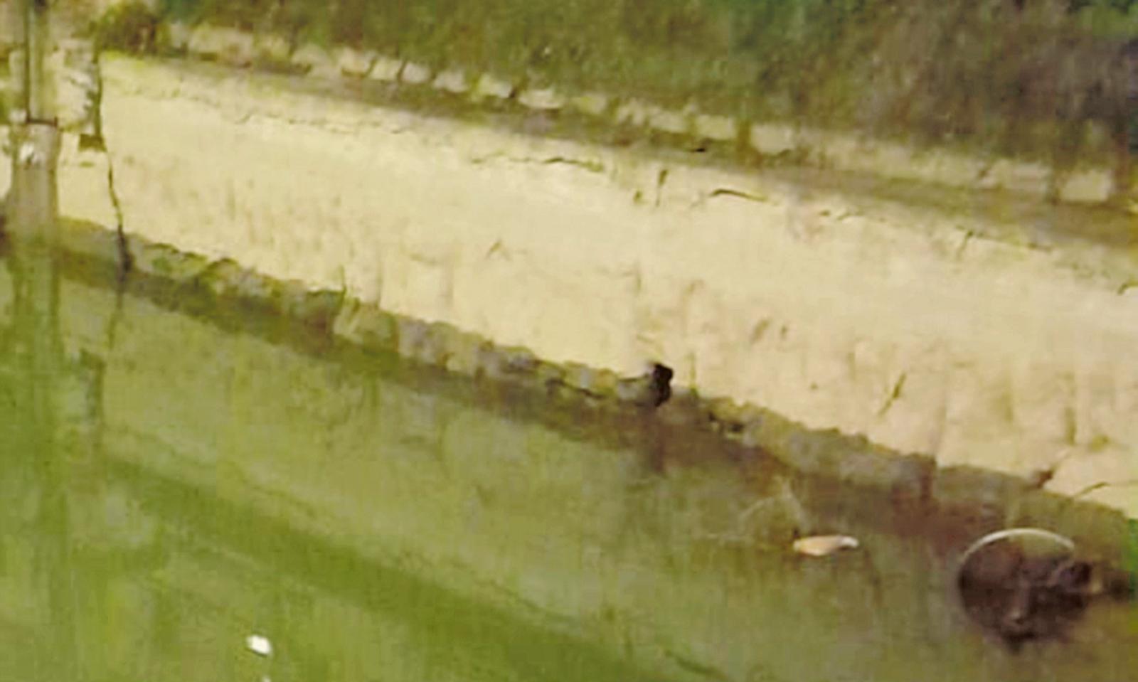 Preoccupa il livello dell&rsquo;Adigetto