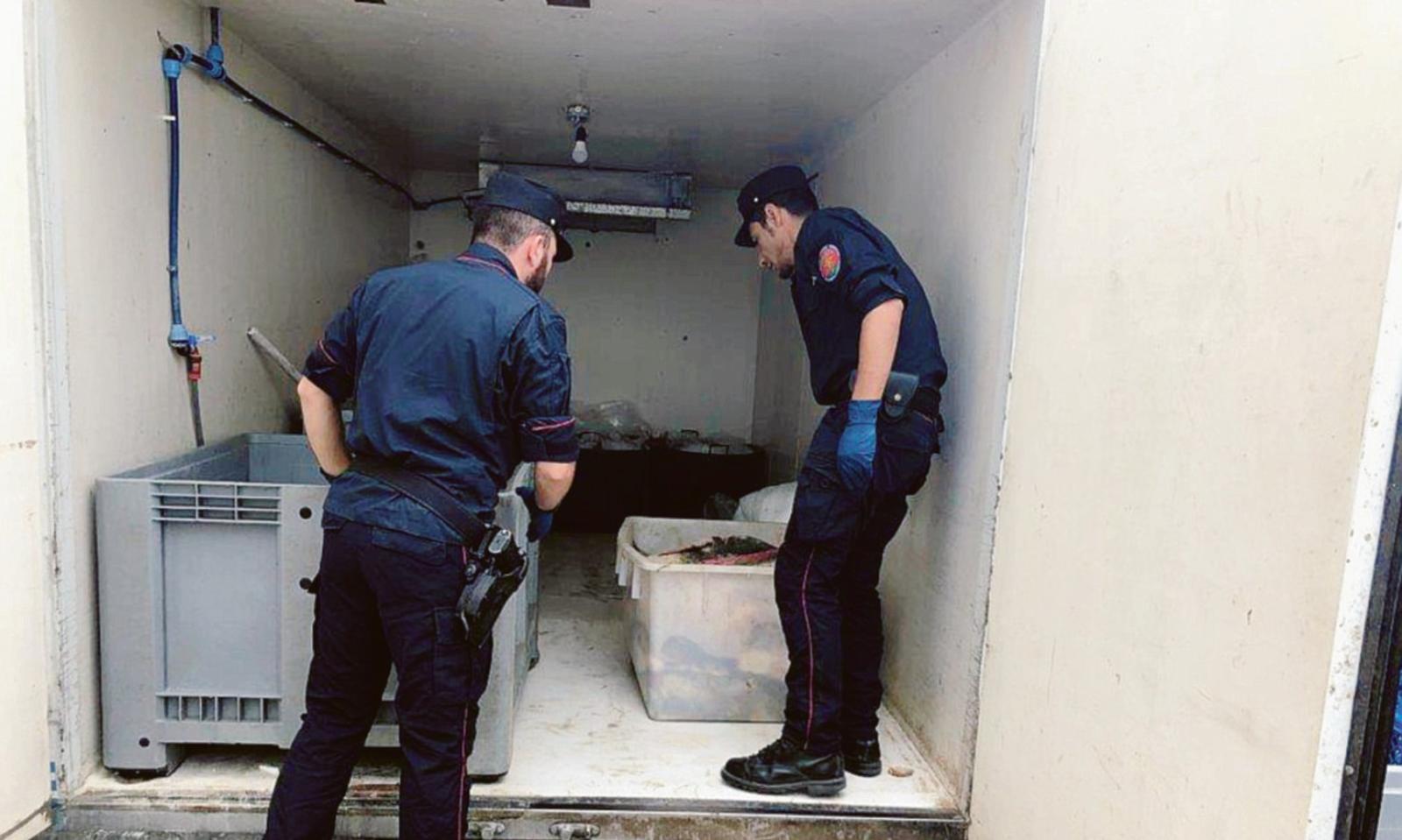 Bloccati due bracconieri rumeni