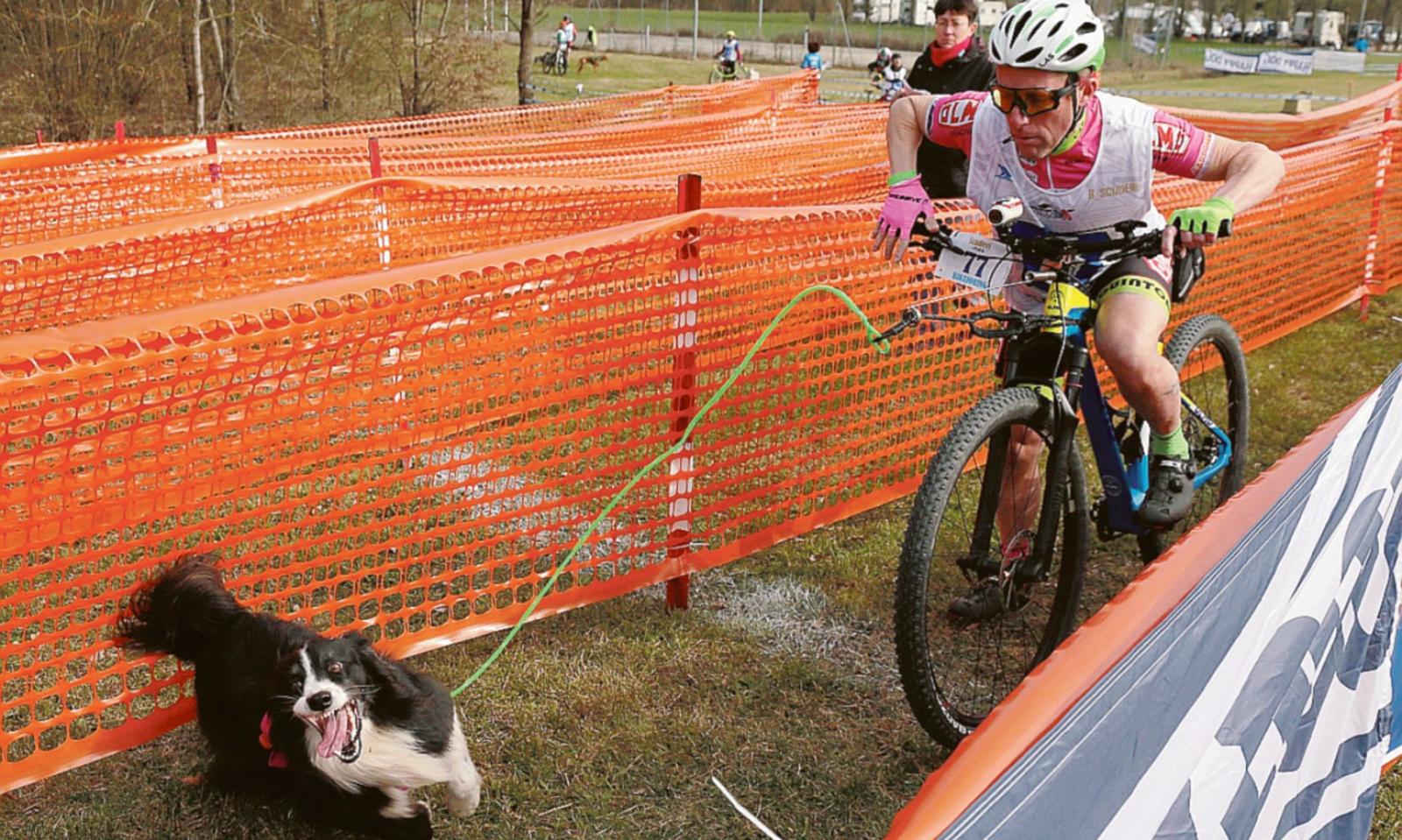 Di corsa col tuo migliore amico