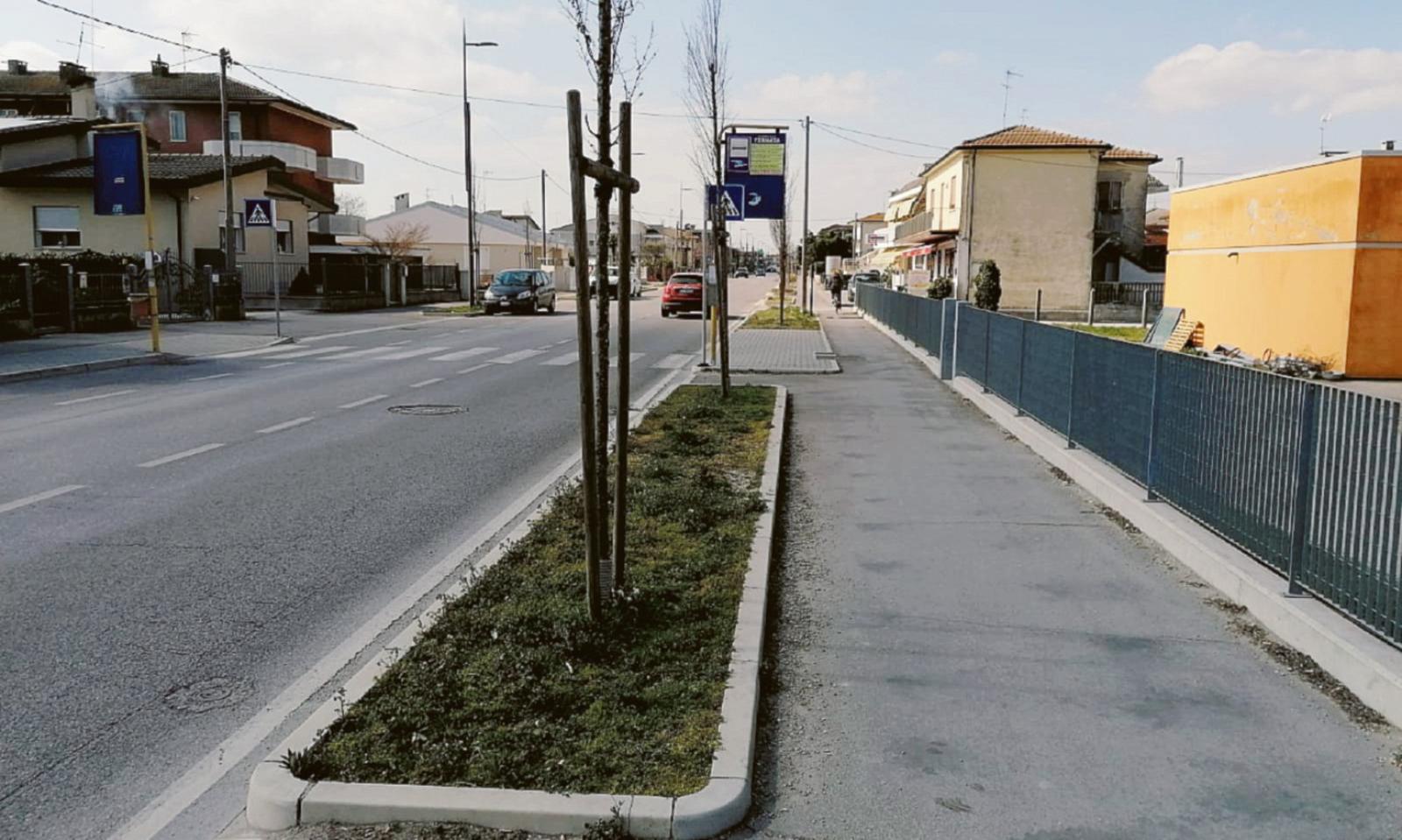 Via Kennedy, restyling per le aiuole