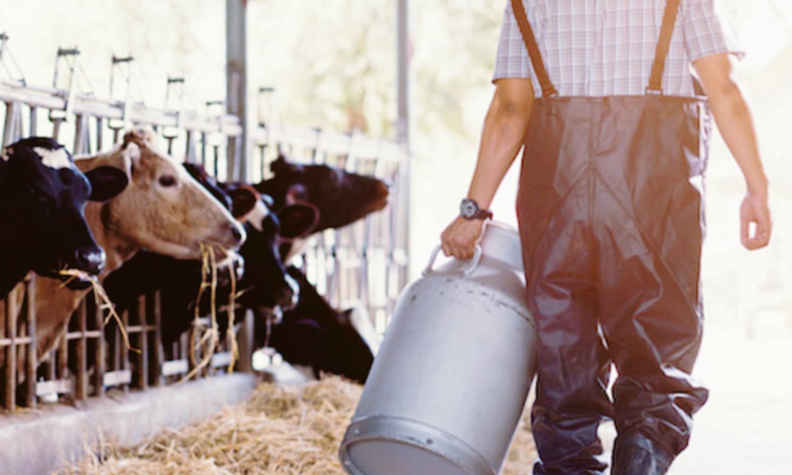 "Bollette triplicate": allenatori in ginocchio