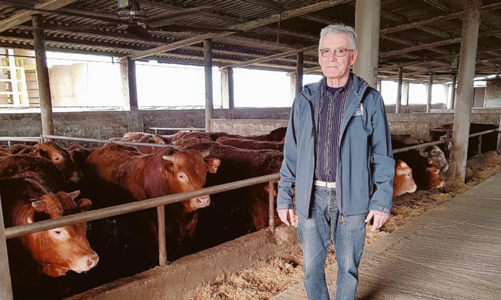 Cereali alle stelle, bollette pure: "Cos&igrave; &egrave; dura!"