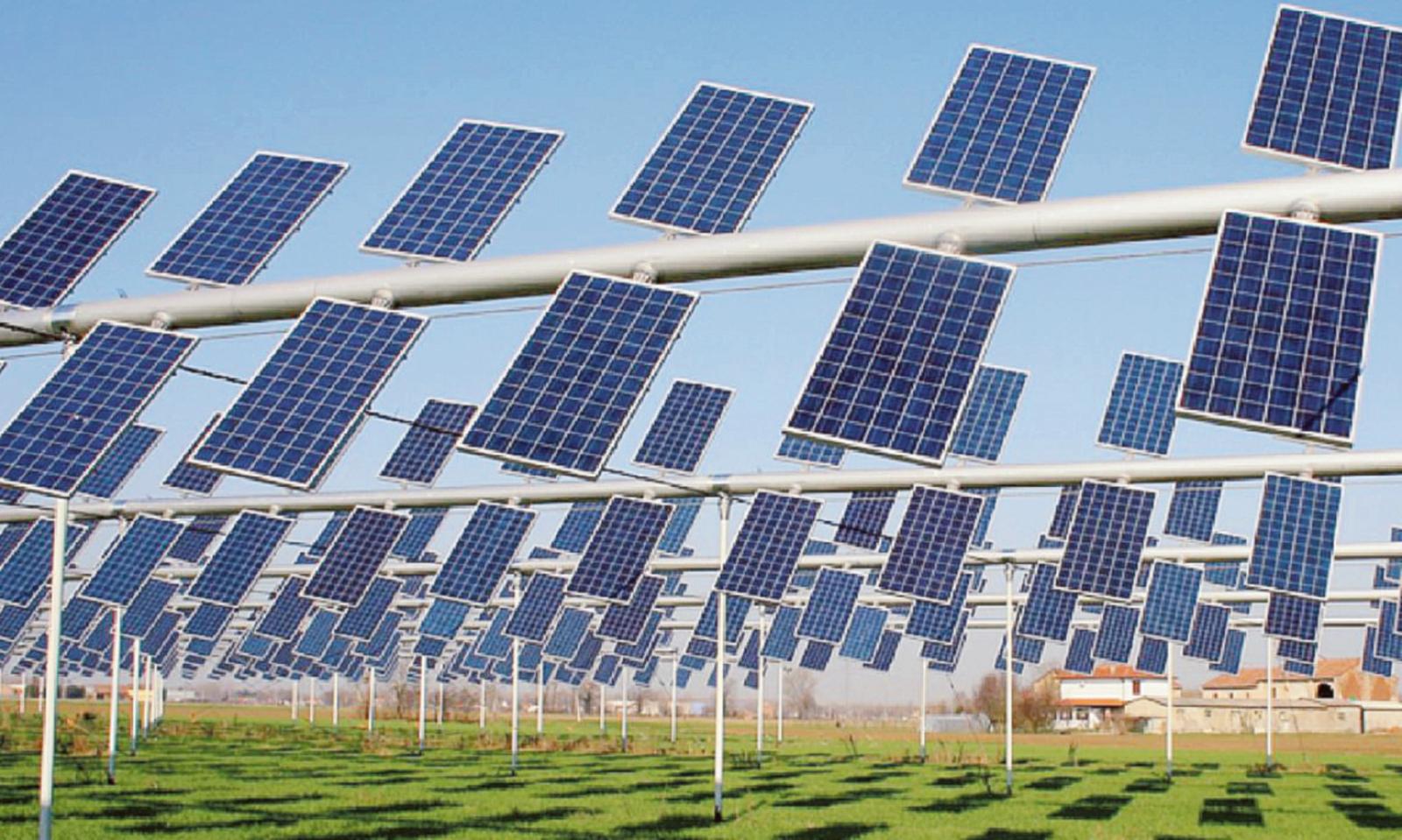 &ldquo;L&rsquo;agrivoltaico contro i rincari&rdquo;