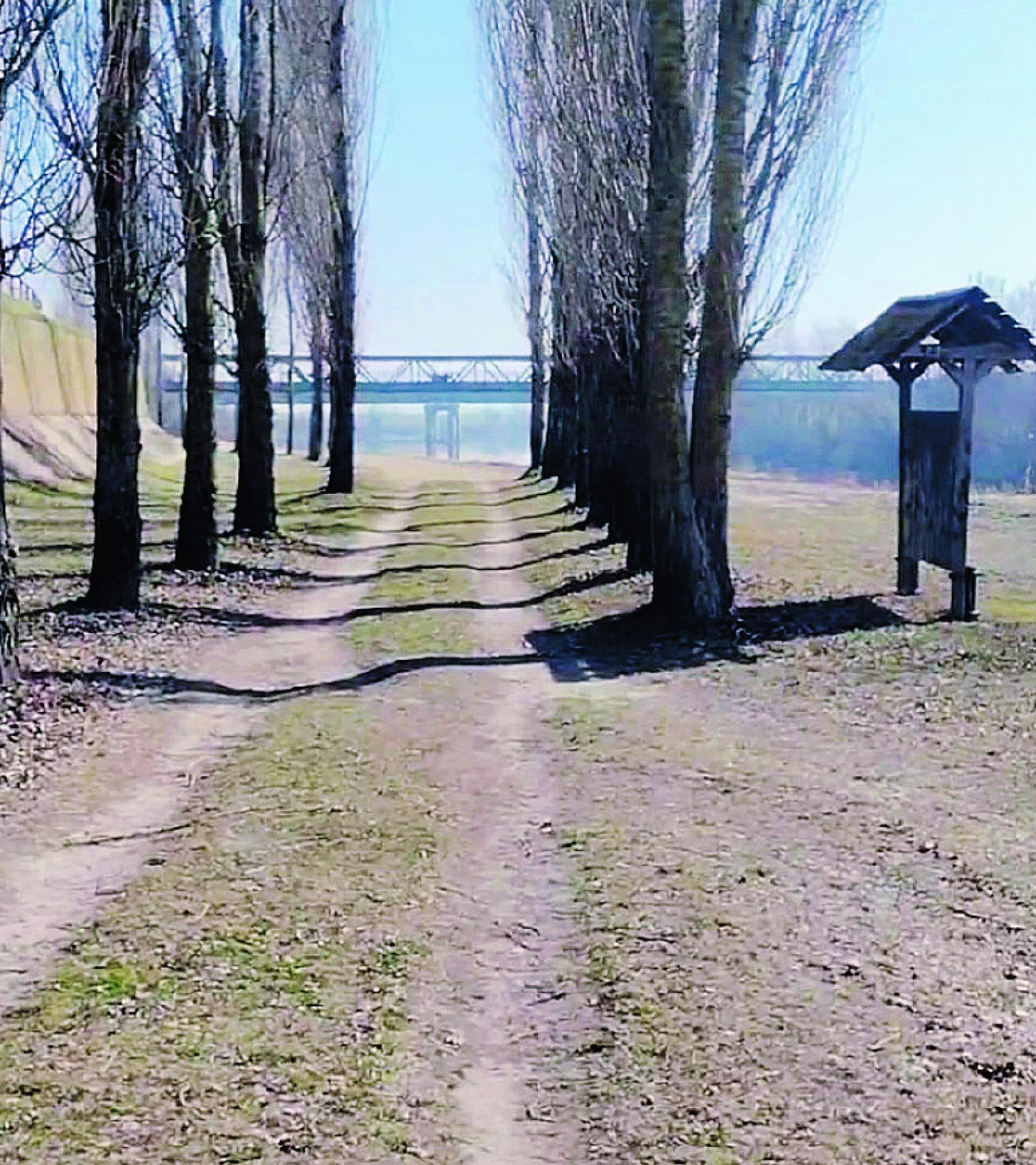 Restyling per la golena del Po