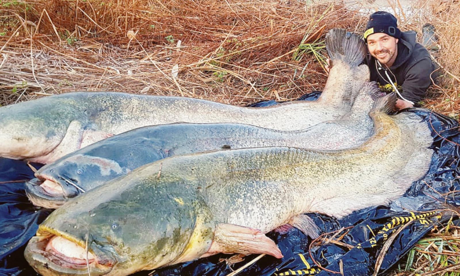 Dal Po emerge un "mostro" di due metri e mezzo.