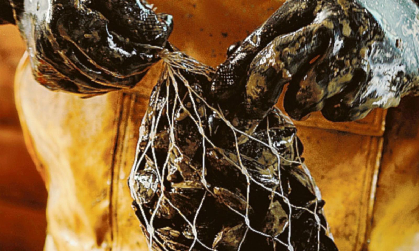 La cozza alla conquista dell&rsquo;Italia