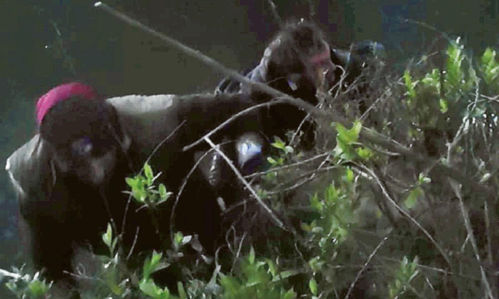 Il siluro ribalta la barca, pescatori salvati dall'ex emaresciallo