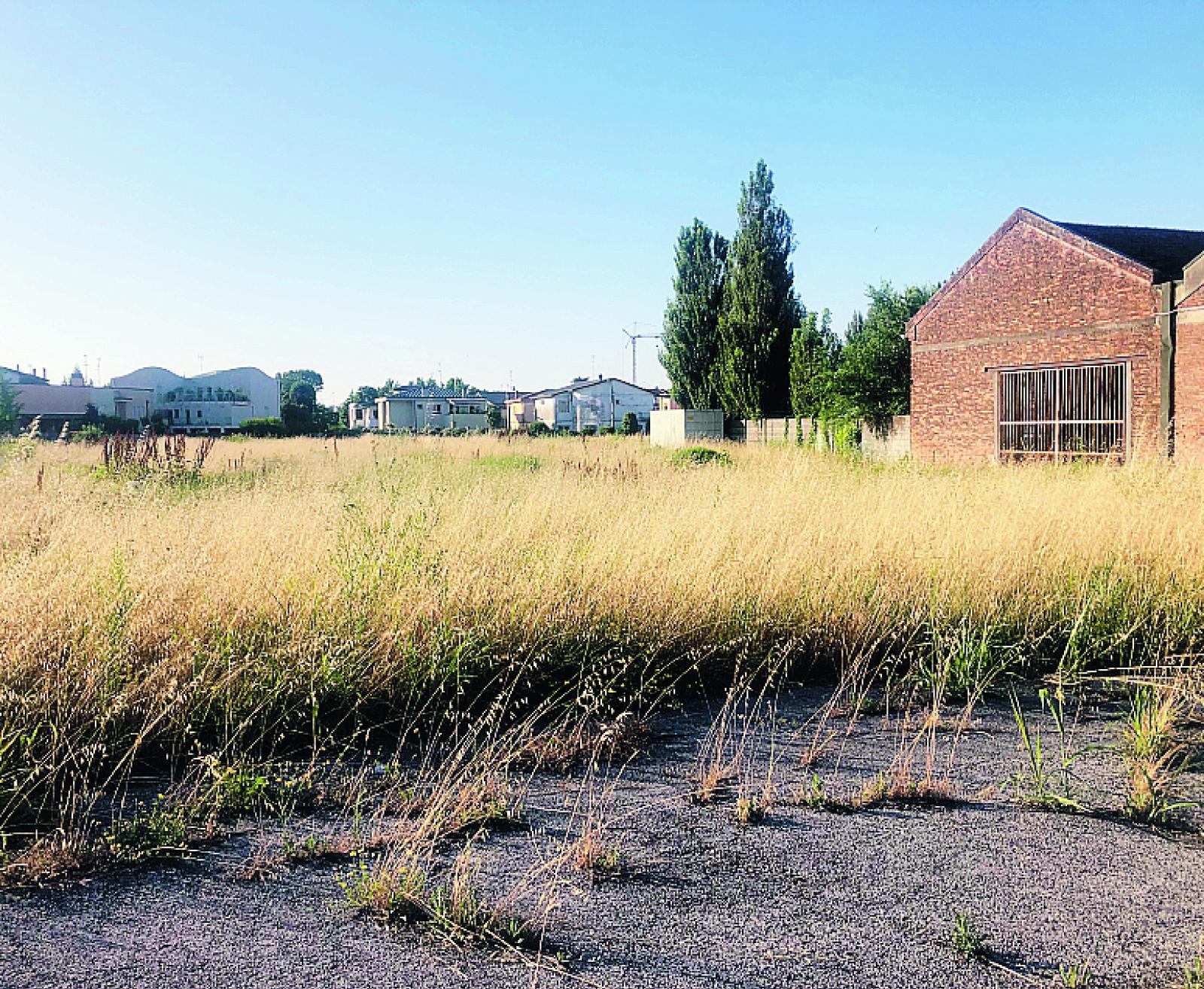 Topi e zanzare, buco nero ex Gabar