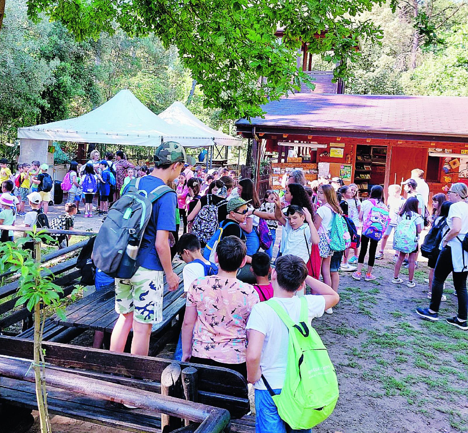 Ultimo giorno di scuola nella natura