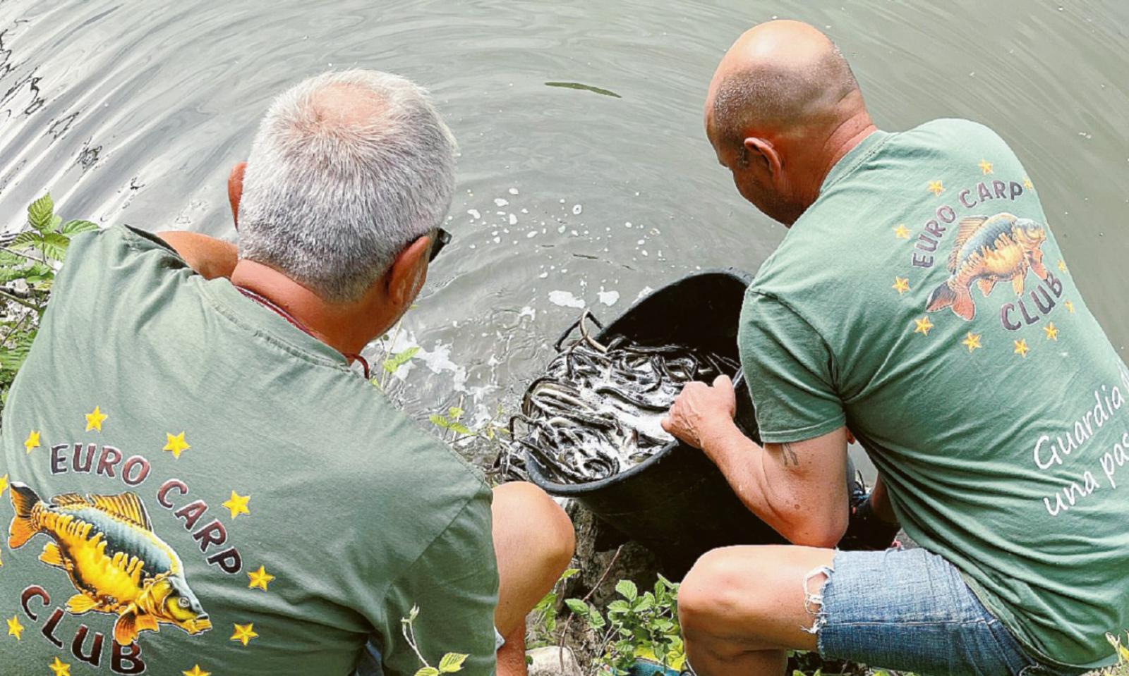 C'&egrave; nuova vita, nelle nostre acque