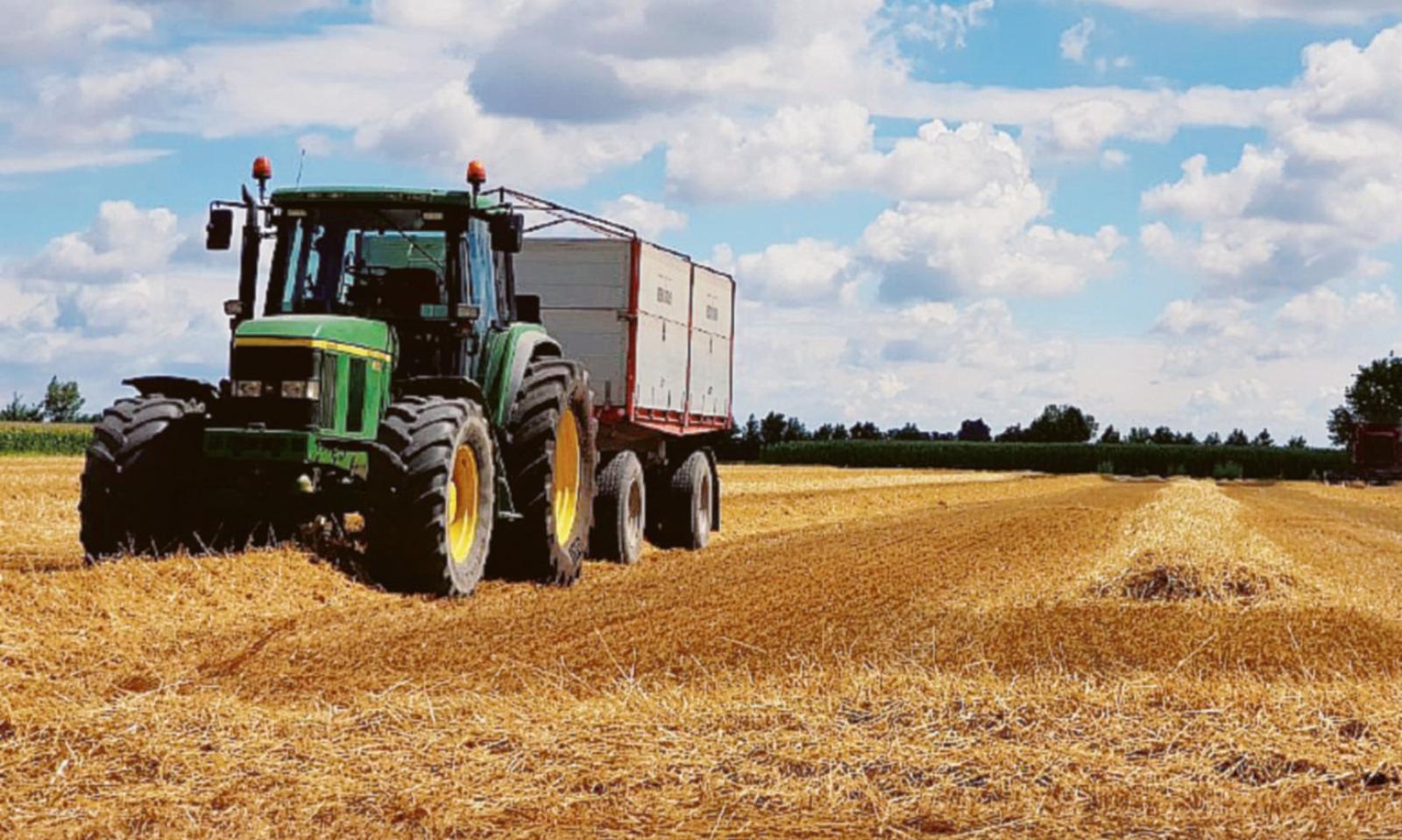 Crolla anche il raccolto del grano: -30%