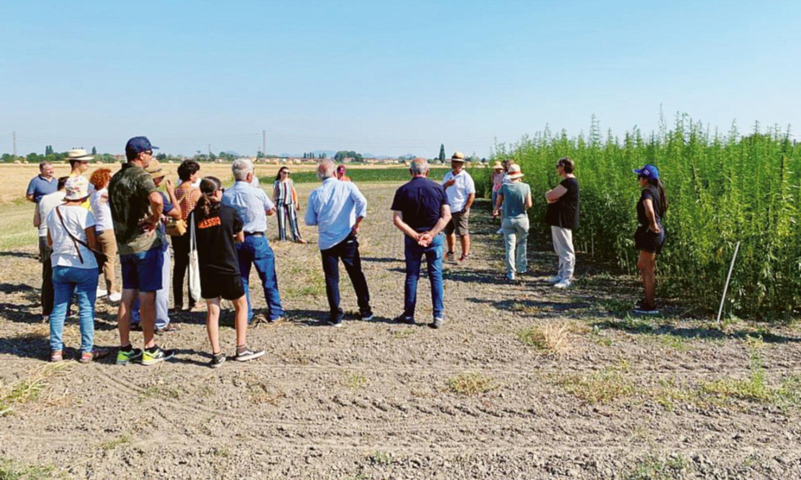 Progetto canapa alle battute finali