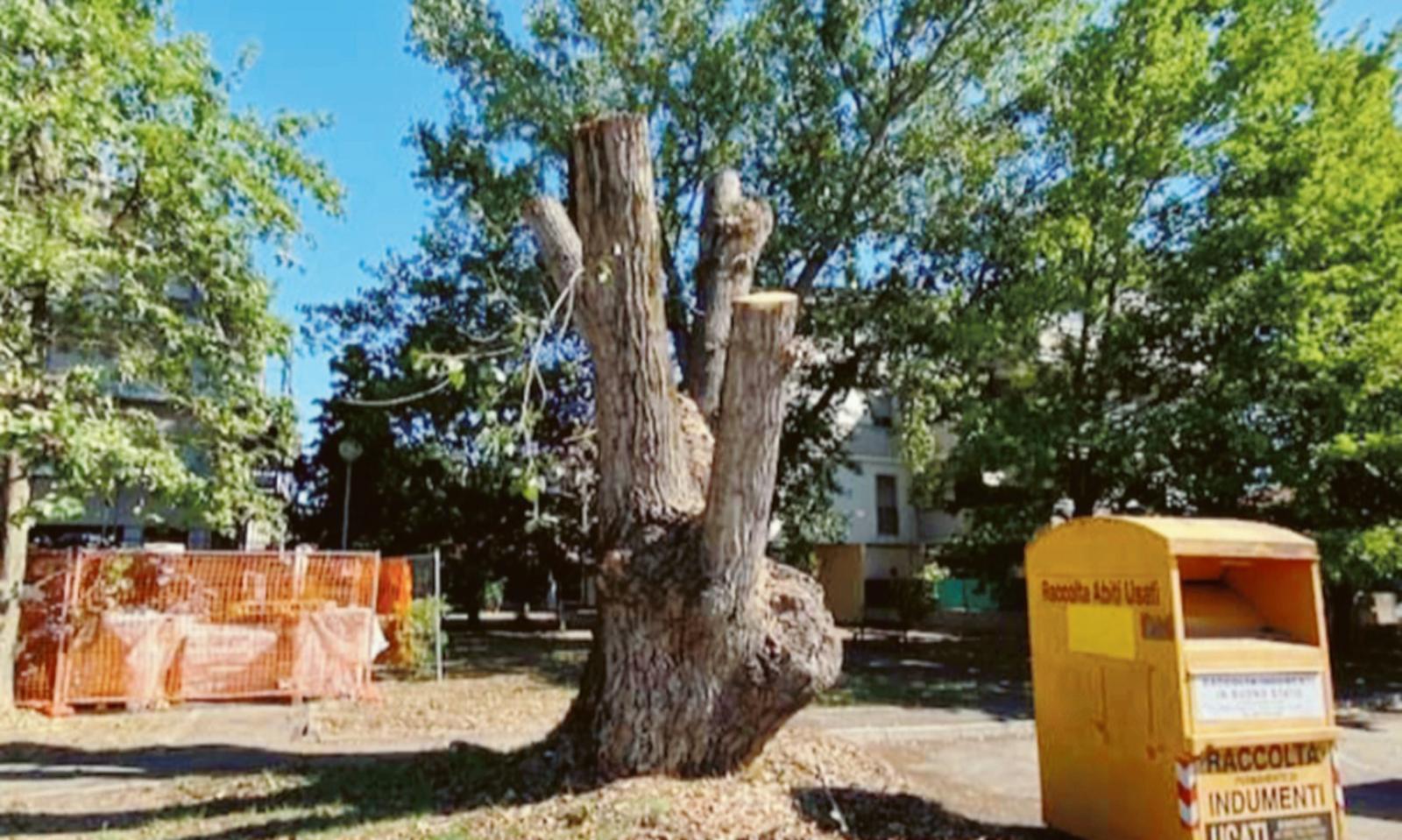 Potato il pioppo, il quartiere in rivolta