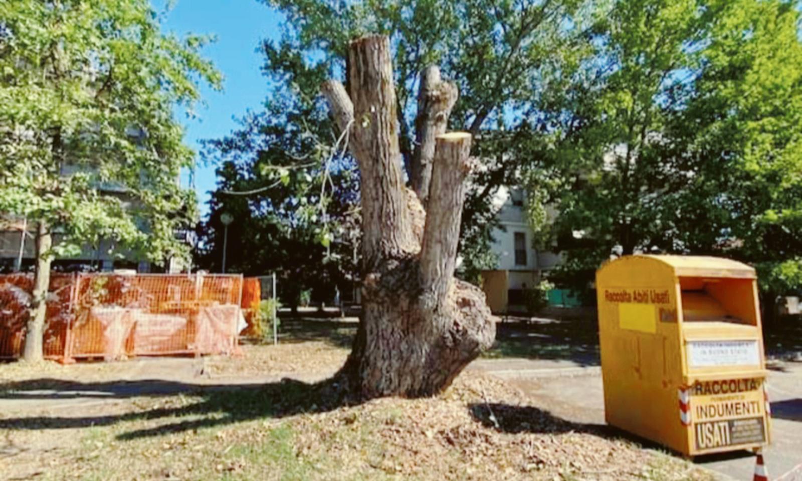 &ldquo;L'avete mutilato, non germoglier&agrave; pi&ugrave;&rdquo;