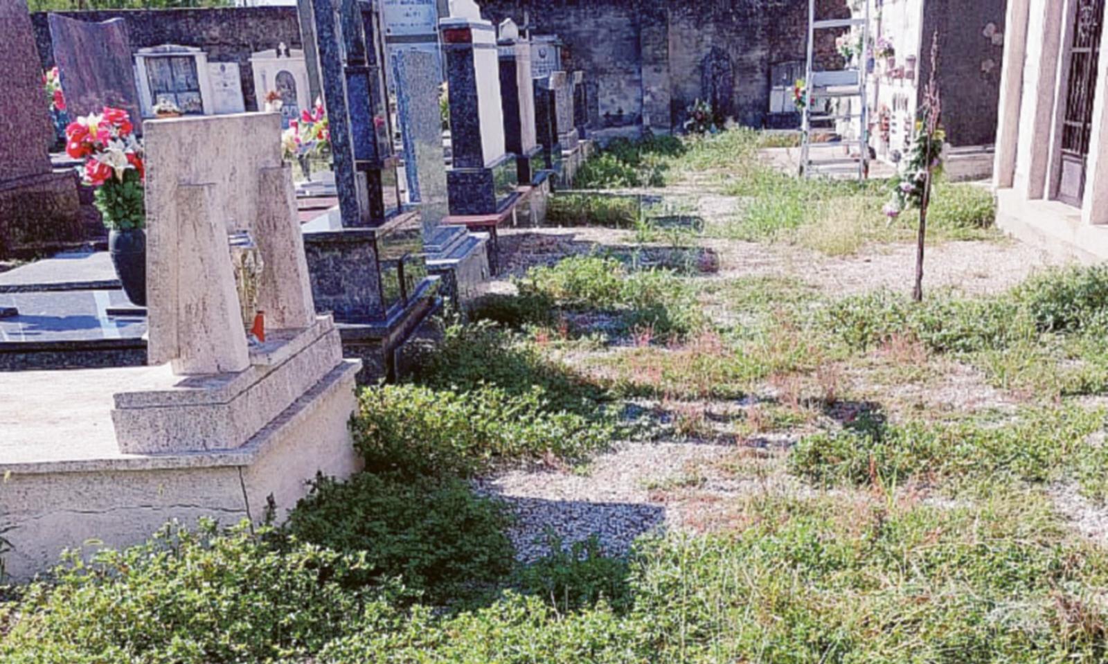 &ldquo;Incuria al cimitero di Garofolo&rdquo;