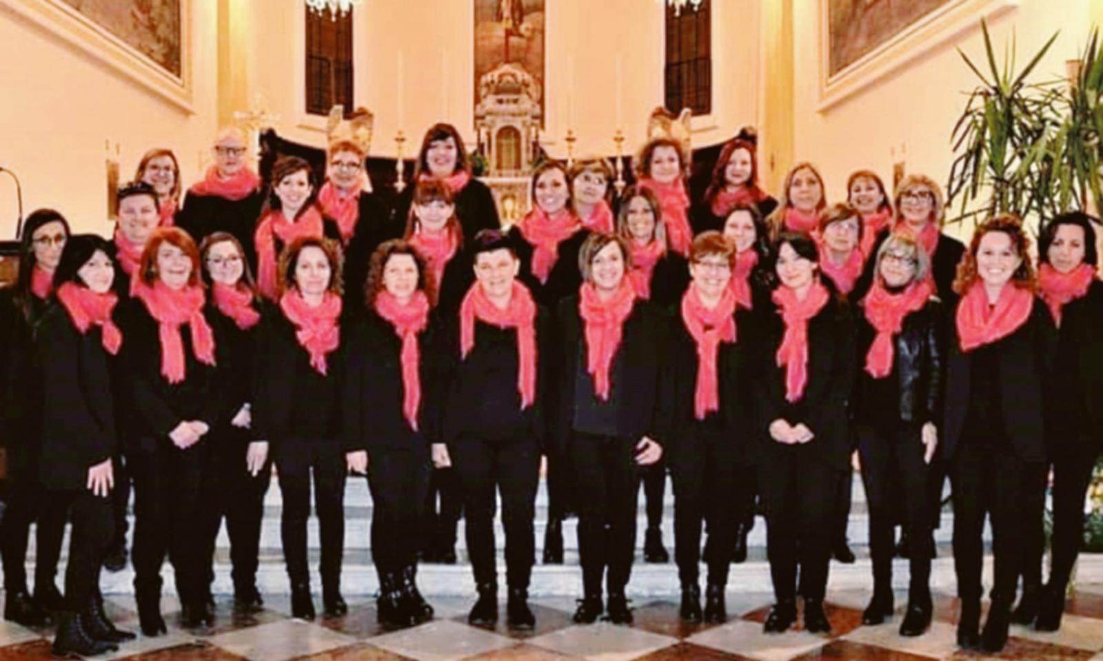 I primi 35 anni del Plinius