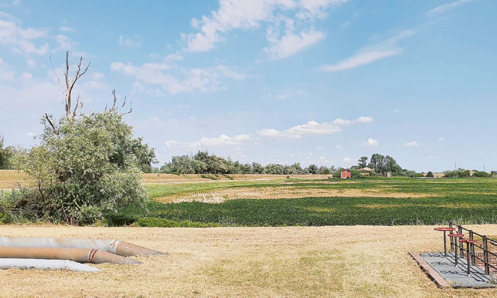 Campi bruciati, almeno 200 milioni di danni