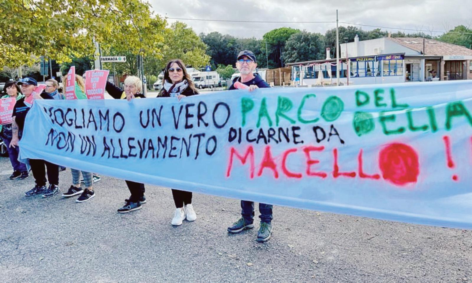 &ldquo;Macellare i daini? Una follia&rdquo;