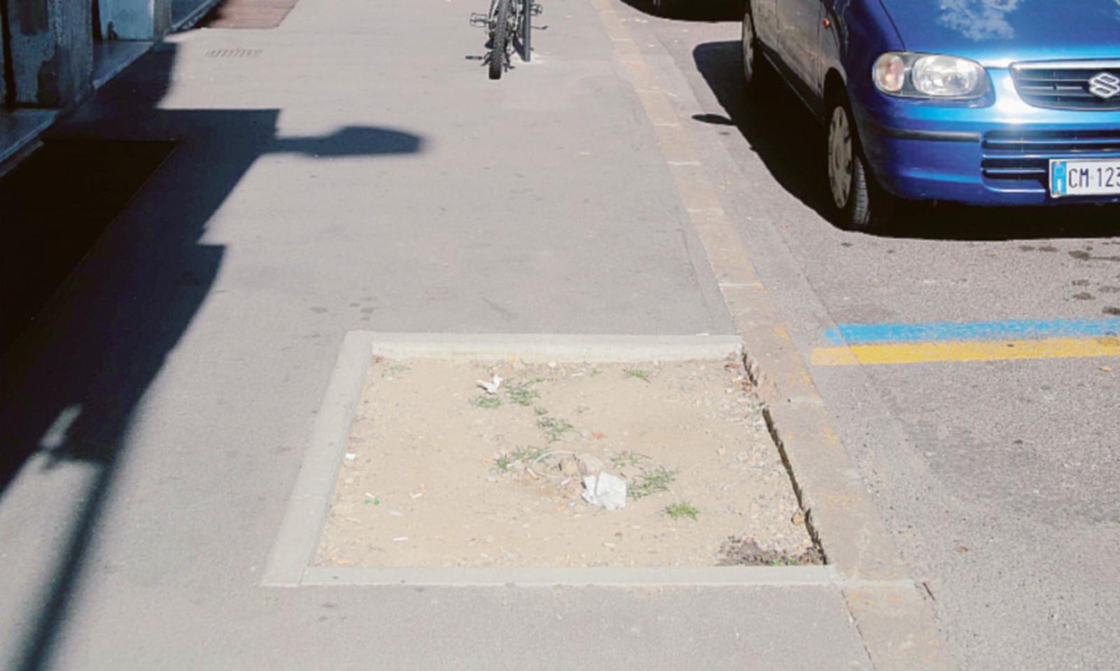 Clamoroso, si sono rubati persino gli alberi sul Corso