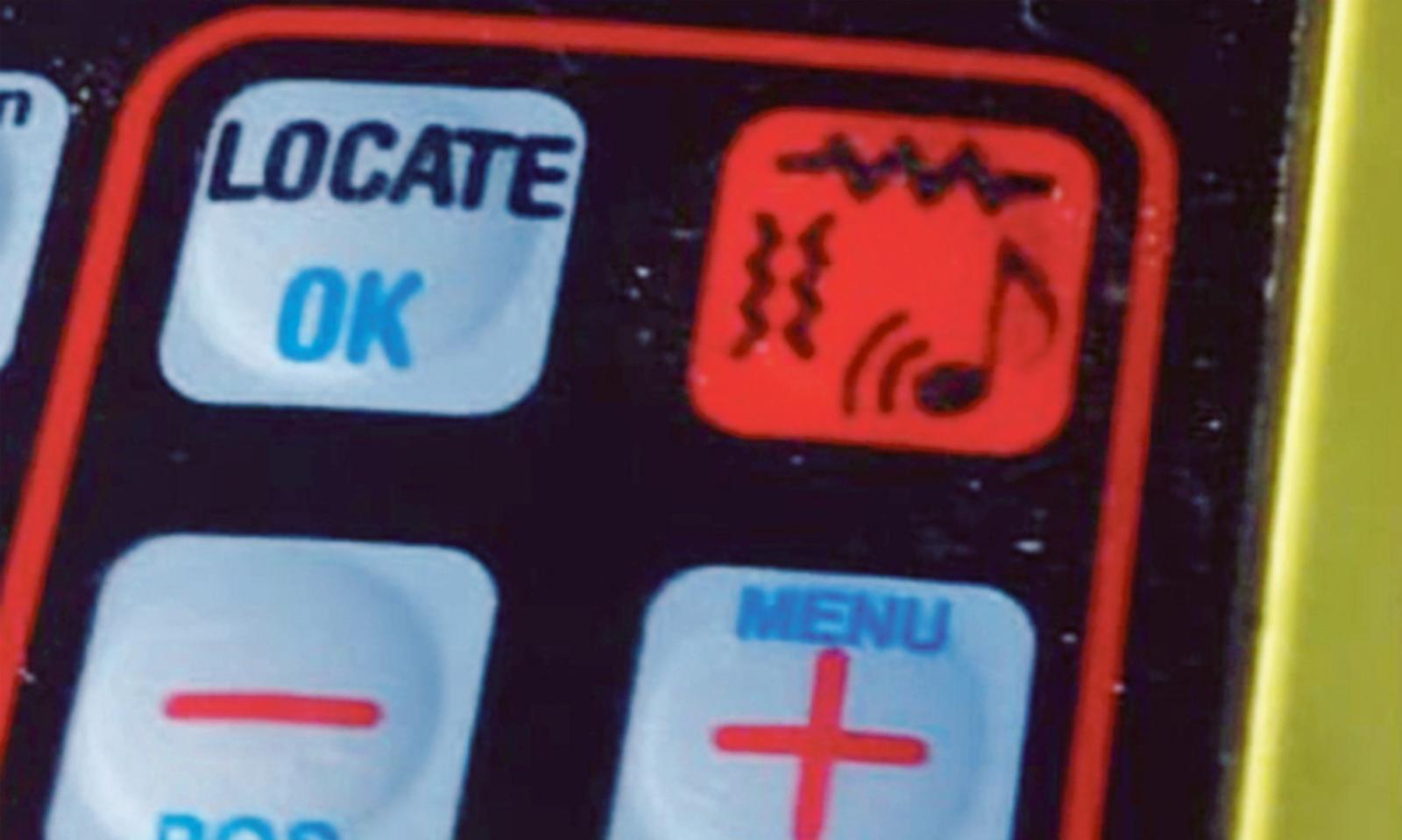 Un tasto. E il cane viene torturato