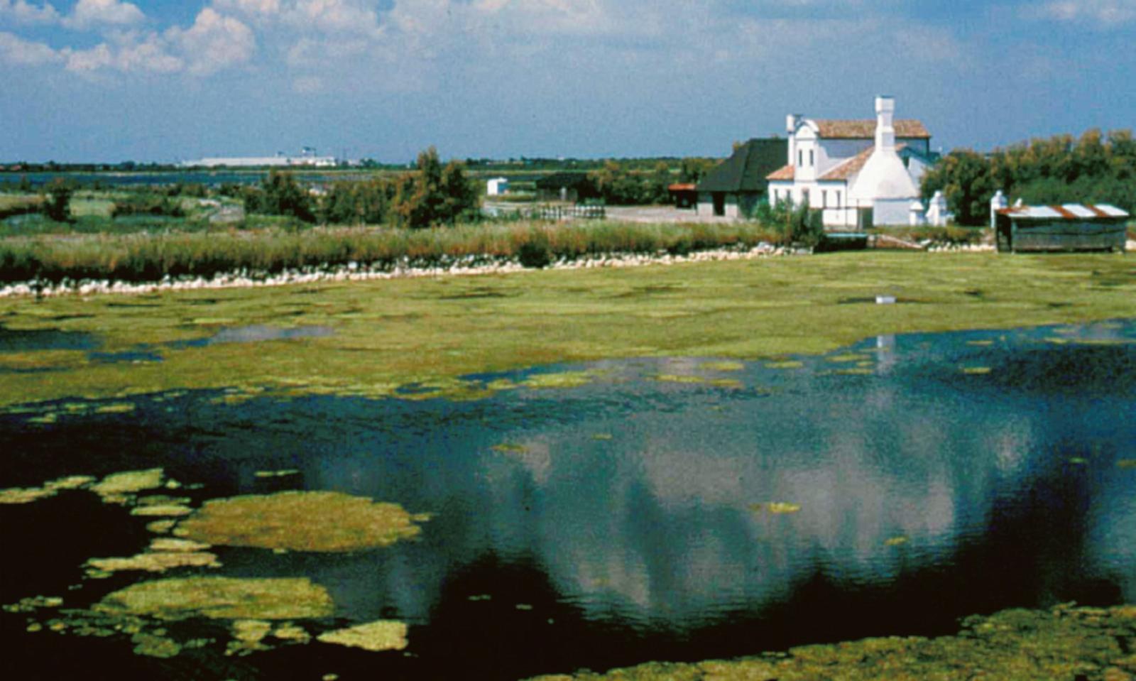 Con Pnrr in arrivo i fondi per disegnare il futuro