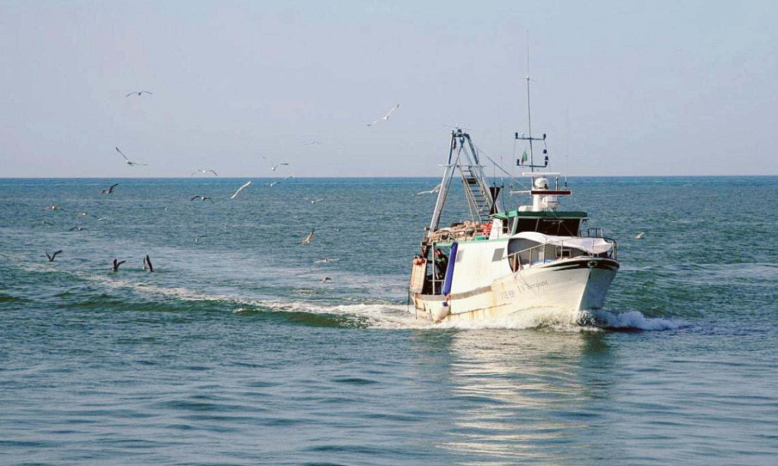 Distretto ittico, crescita record!