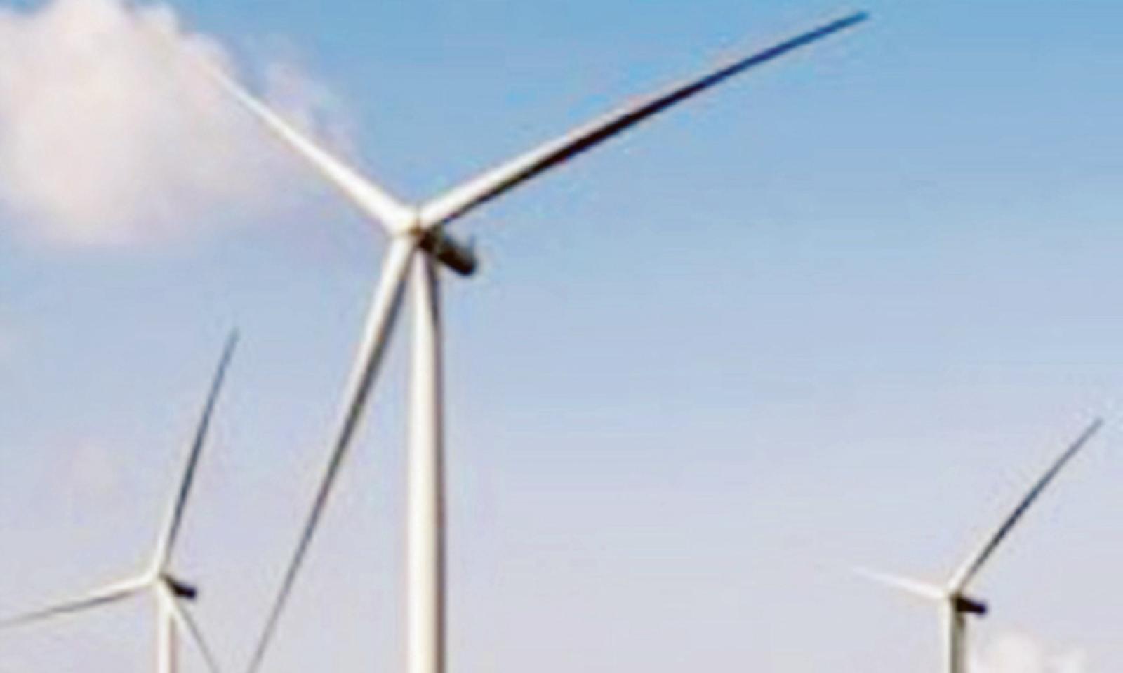 Eolico? "Si pu&ograve; fare solo tutelando la pesca"