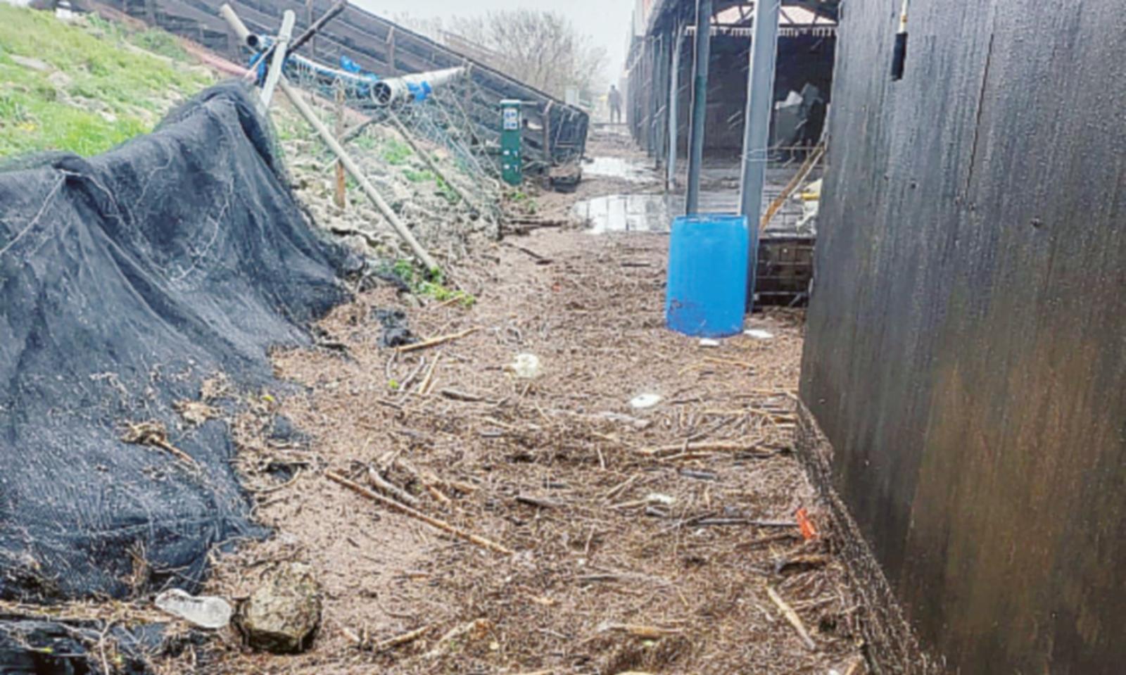 Spiagge distrutte ed orti di vongole sepolti